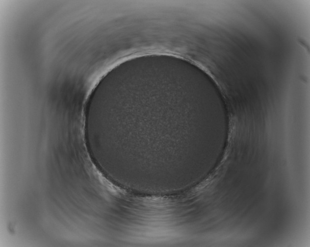 X0000102461508200808081216