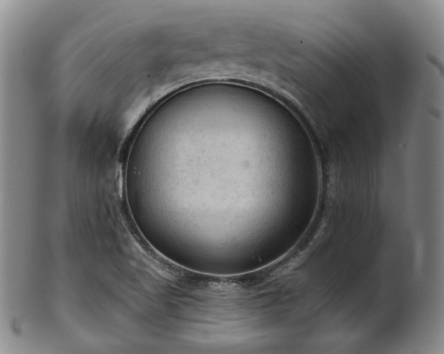 X0000102461509200808081216