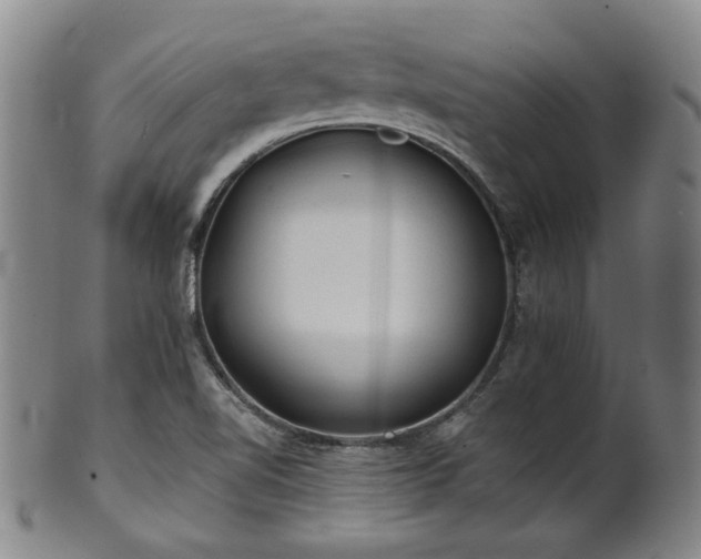 X0000102461510200808081216