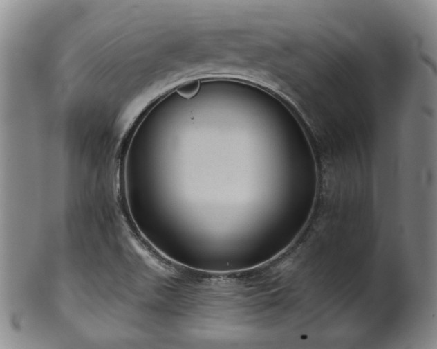 X0000102461511200808081216