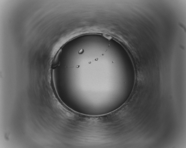 X0000102461512200808081216