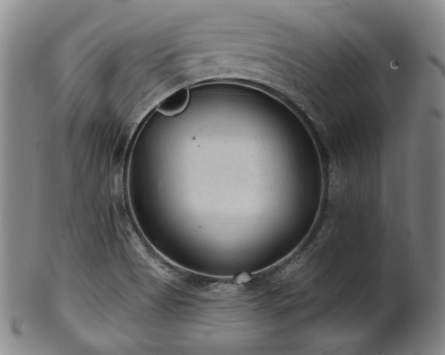 X0000102461513200808081216
