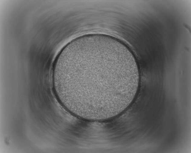 X0000102461514200808081216