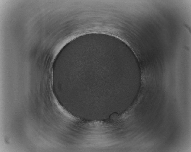 X0000102461515200808081216