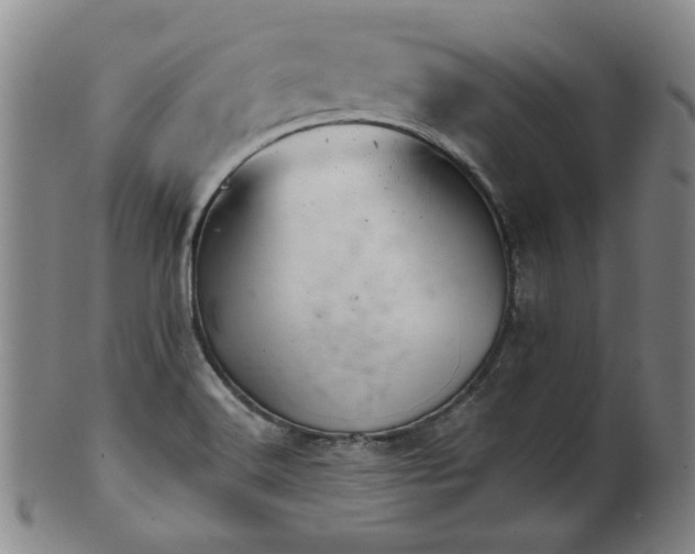 X0000102461516200808081216