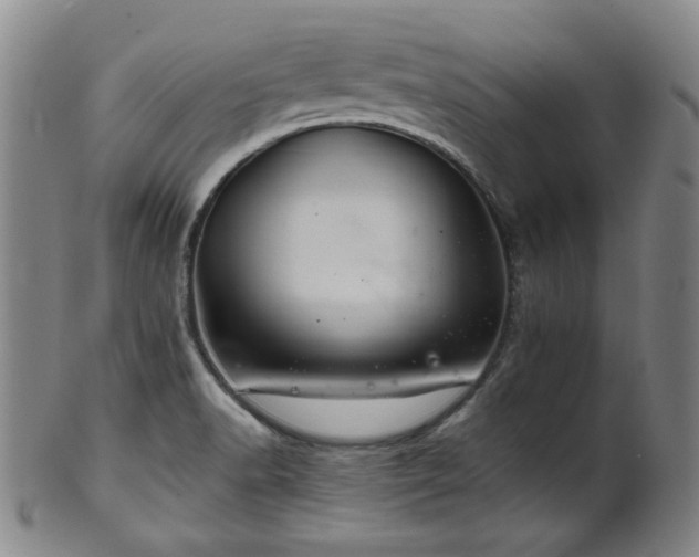 X0000102461518200808081216