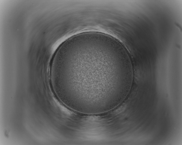 X0000102461519200808081216
