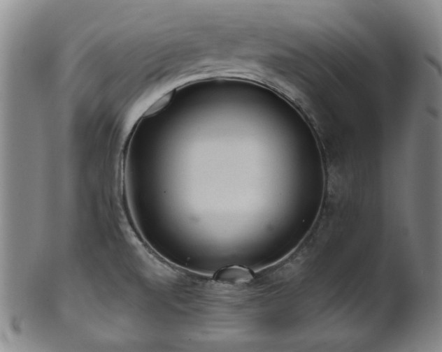 X0000102461520200808081216