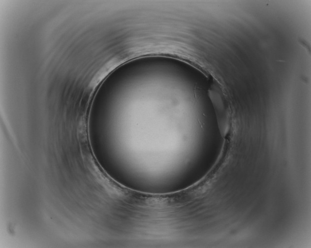 X0000102461521200808081216