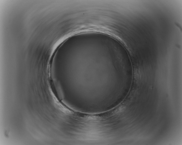 X0000102461522200808081216
