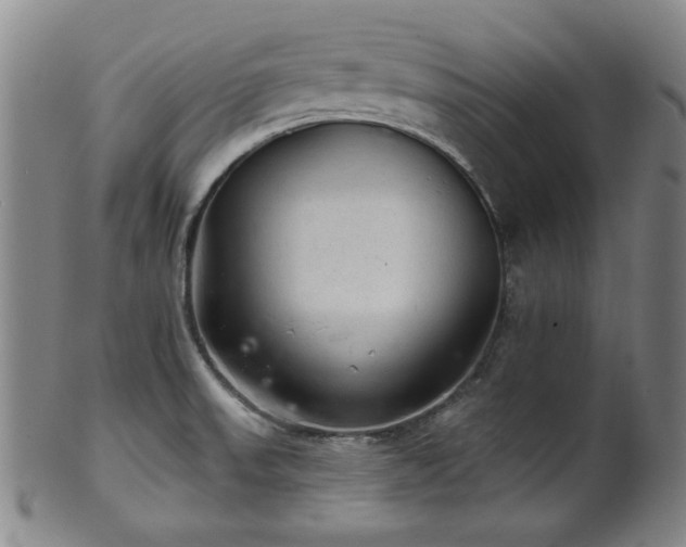 X0000102461523200808081216