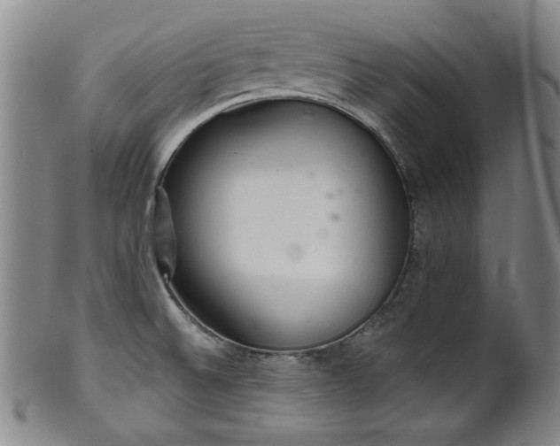 X0000102461524200808081216