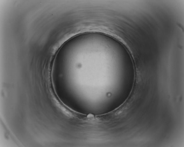 X0000102461525200808081216