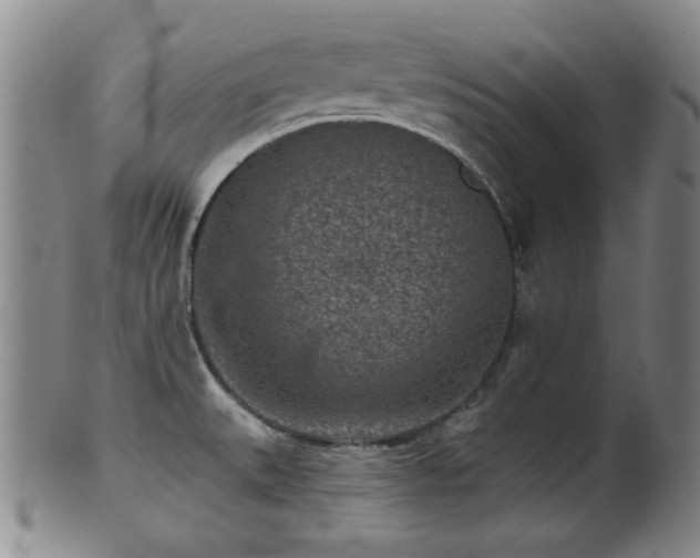 X0000102461527200808081216