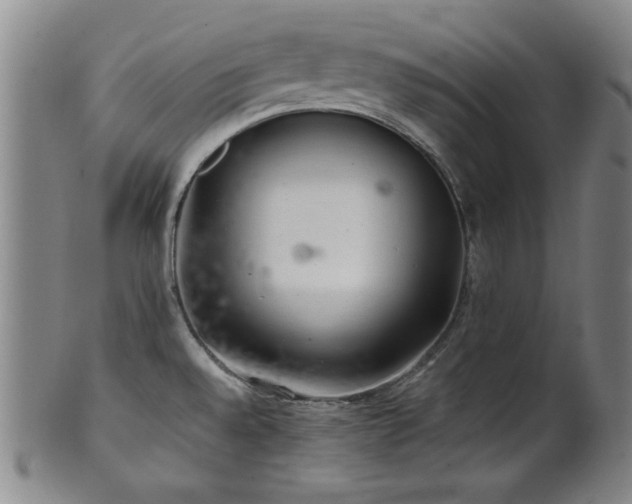 X0000102461528200808081216