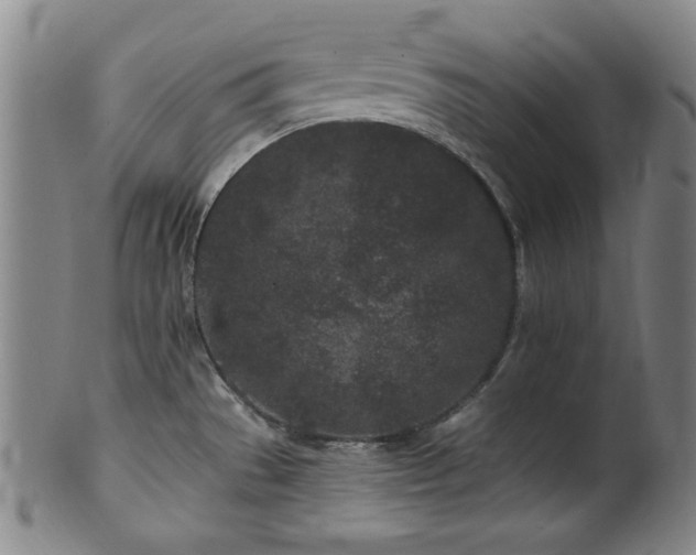 X0000102461529200808081216
