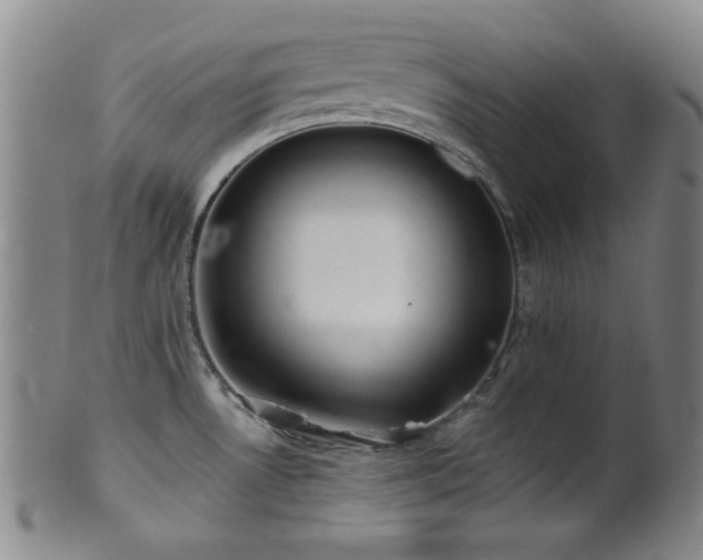 X0000102461530200808081216
