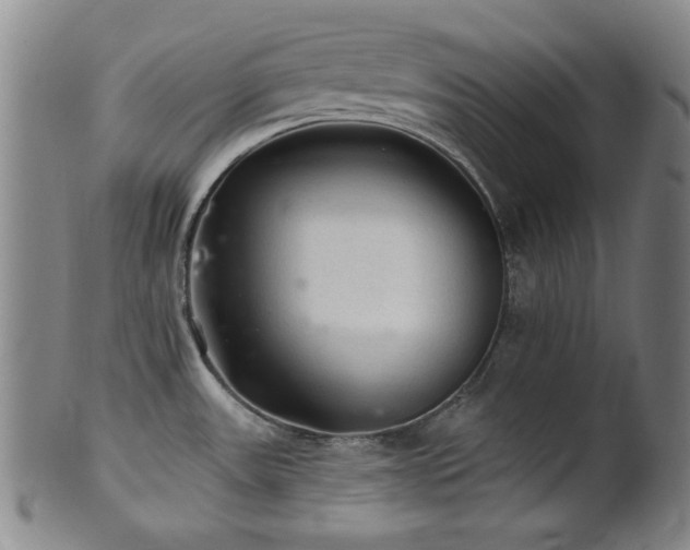 X0000102461531200808081216
