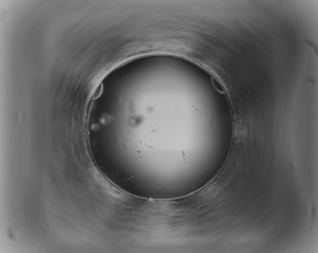 X0000102461532200808081216