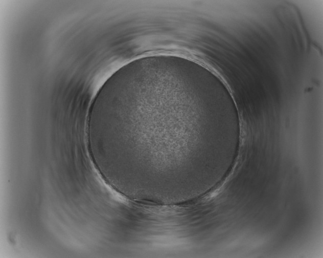 X0000102461533200808081216