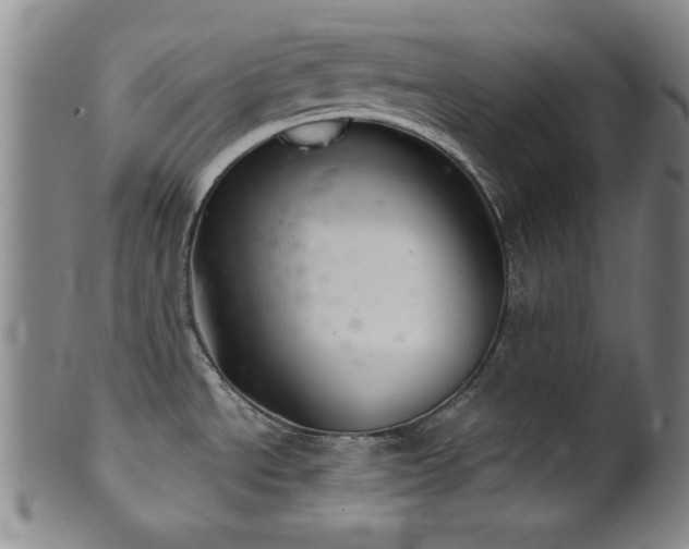 X0000102461534200808081216