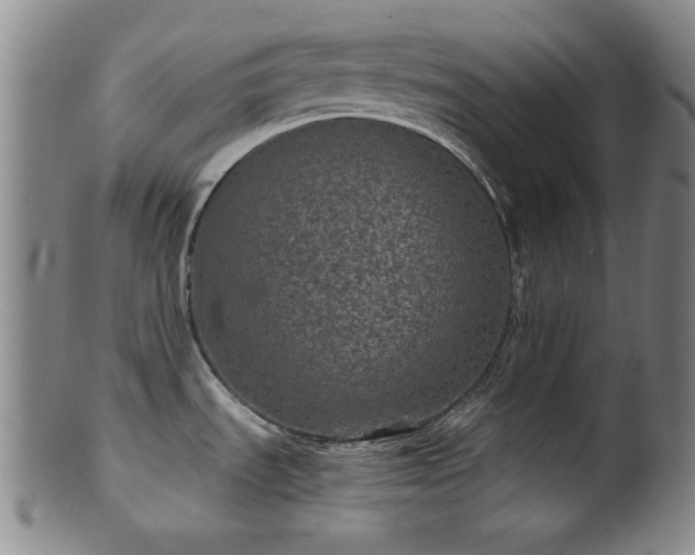 X0000102461535200808081216