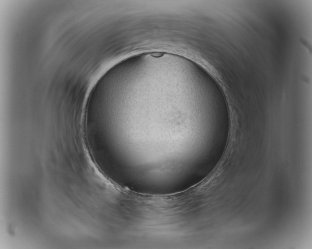 X0000102461536200808081216