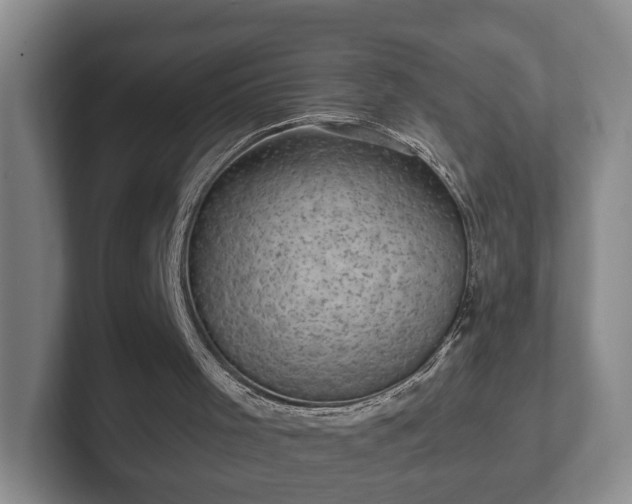 X0000102460001200808151417