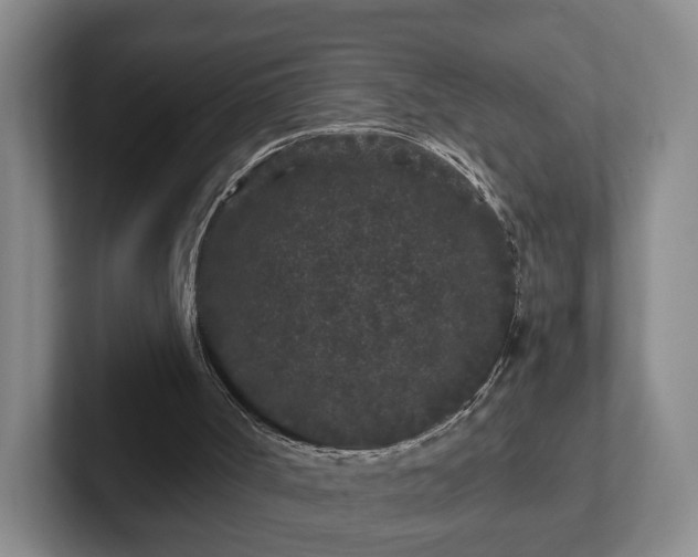 X0000102460002200808151417