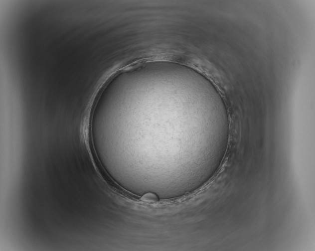 X0000102460003200808151417