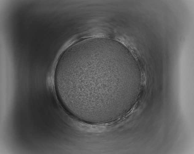 X0000102460004200808151417