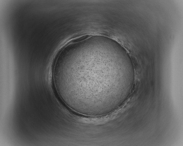 X0000102460005200808151417