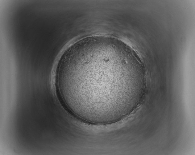 X0000102460007200808151417