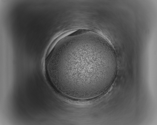 X0000102460008200808151417