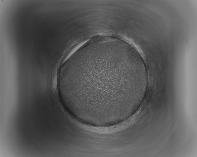 X0000102460010200808151417