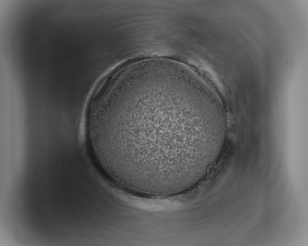 X0000102460012200808151417