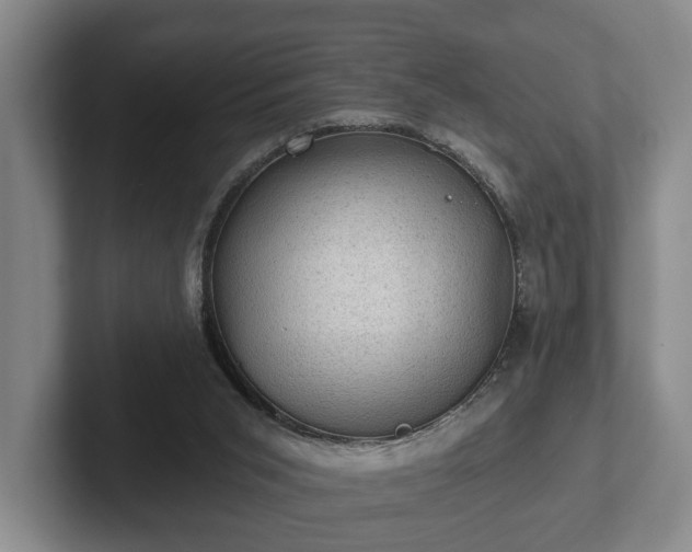 X0000102460015200808151417