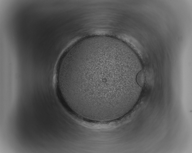 X0000102460016200808151417