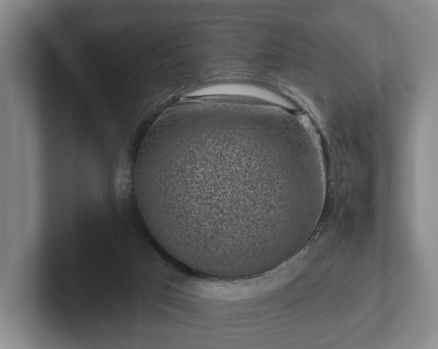 X0000102460017200808151417