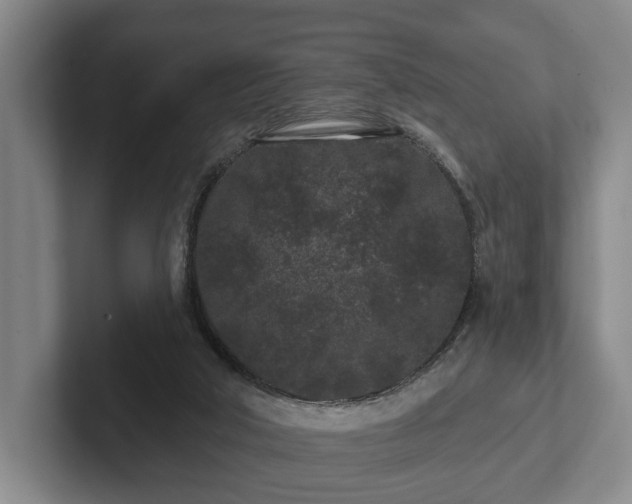 X0000102460018200808151417