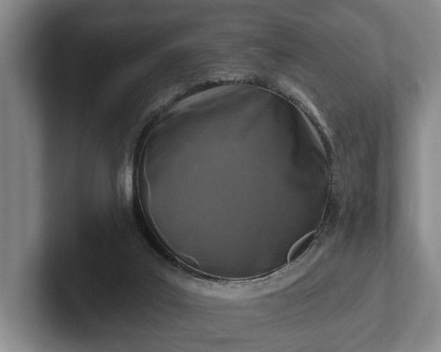 X0000102460019200808151417