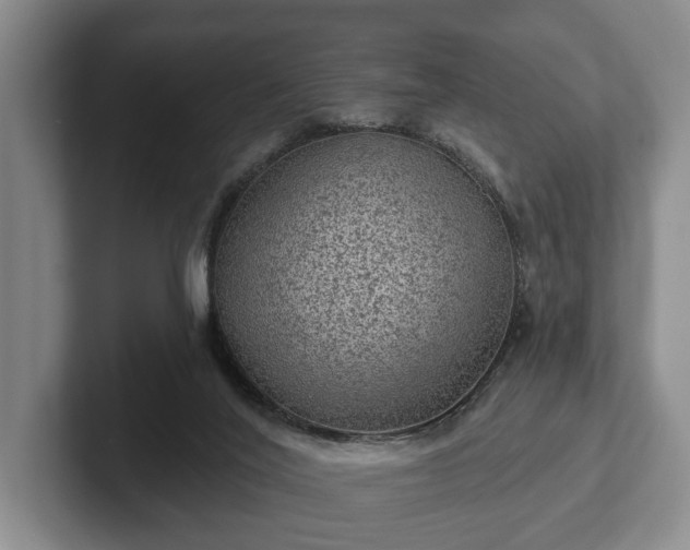 X0000102460020200808151417