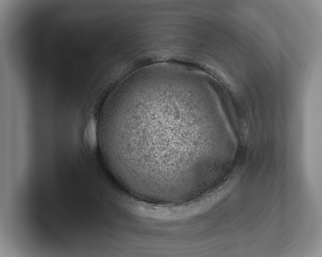 X0000102460022200808151417