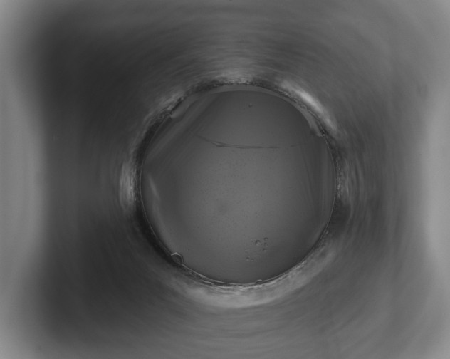 X0000102460023200808151417