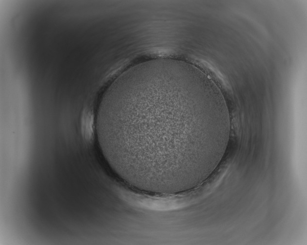 X0000102460024200808151417