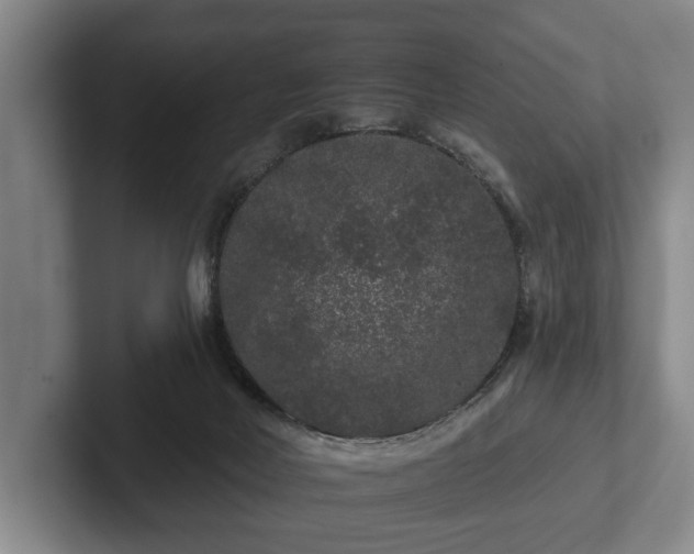 X0000102460026200808151417