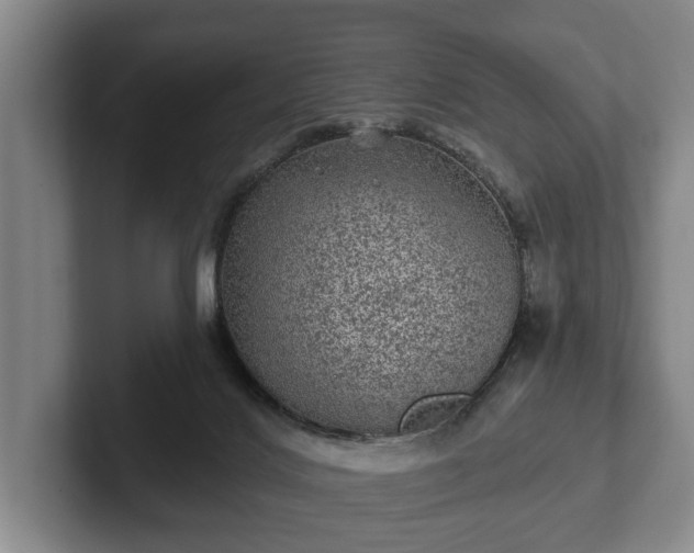 X0000102460028200808151417