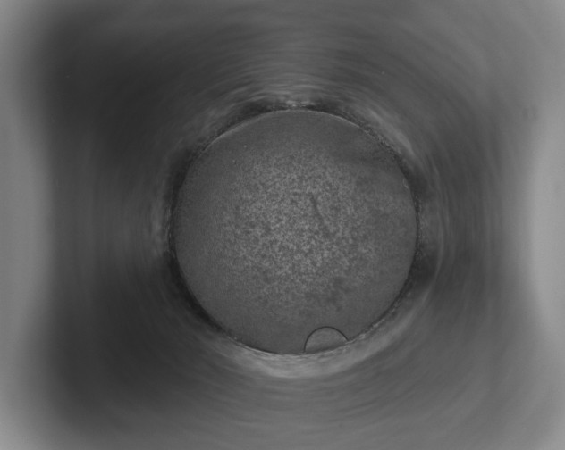 X0000102460030200808151417