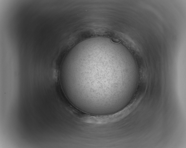 X0000102460033200808151416