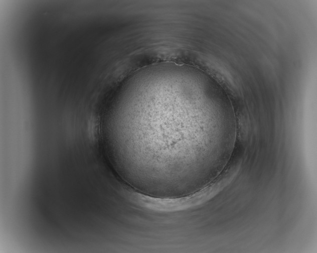 X0000102460034200808151416